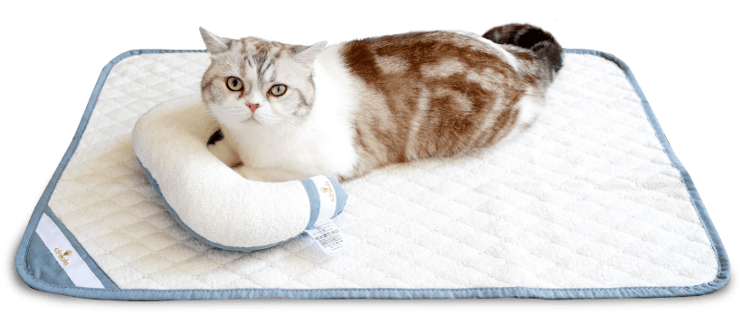 Mサイズ使用イメージ - 猫