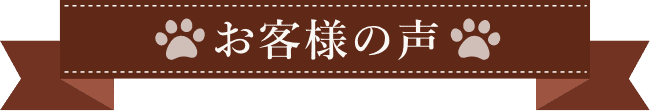 お客様の声